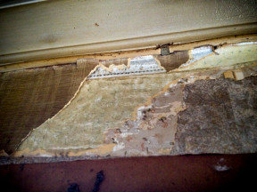 Tapetrester i köket