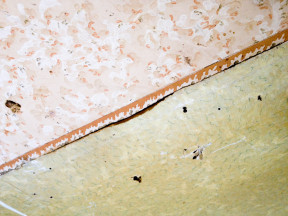 Tapet bakom köksskåpet