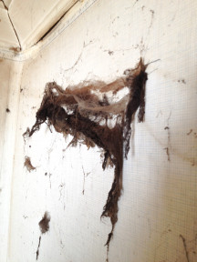 Bakom skåpen finns fler överraskningar.