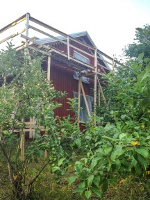 Några av äppelträden i förgrunden av vårt hus