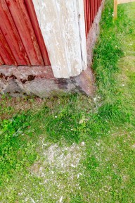 Efter att ha skrapat knutarna så ser det ut så här på marken. Ett digert arbete på stegen.