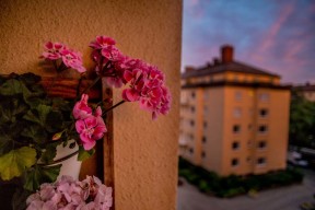 Sommarkväll med pelargoner på balkongen.