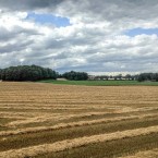 Landskap