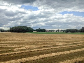 Landskap