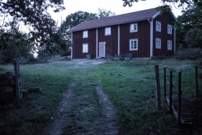 Kvällsljus över hus