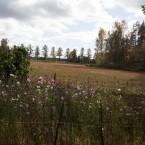 Utsikten från Gamlastugan mot Andrastugan
