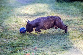 En rolig födelsedagsboll som höll i 30 minuter.