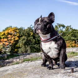 Posering i Tornparken