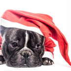 Valter som tomte
