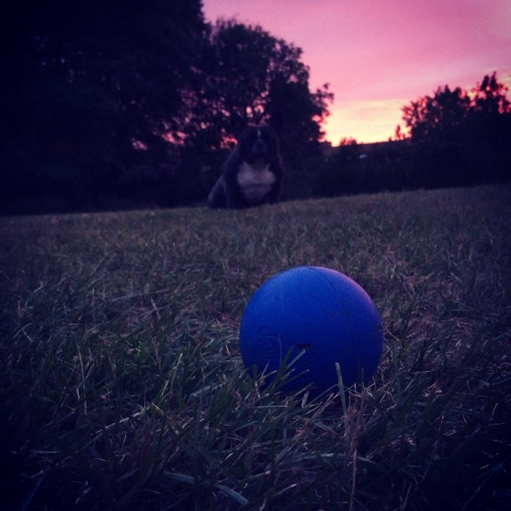 The ball.