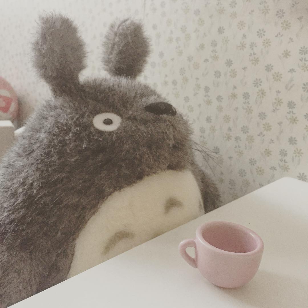 Totoro fikar.